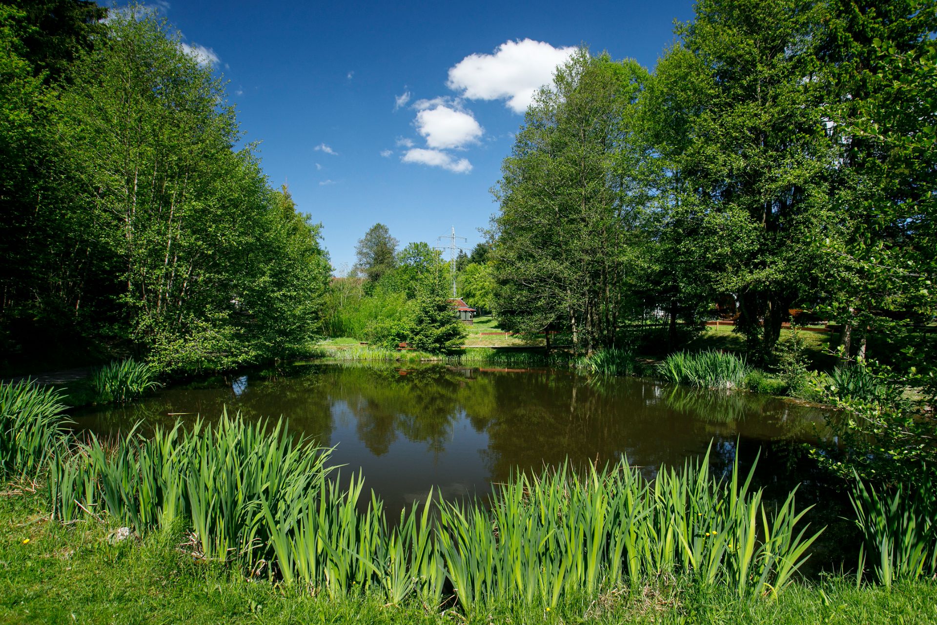 camper markisen Camping Markise