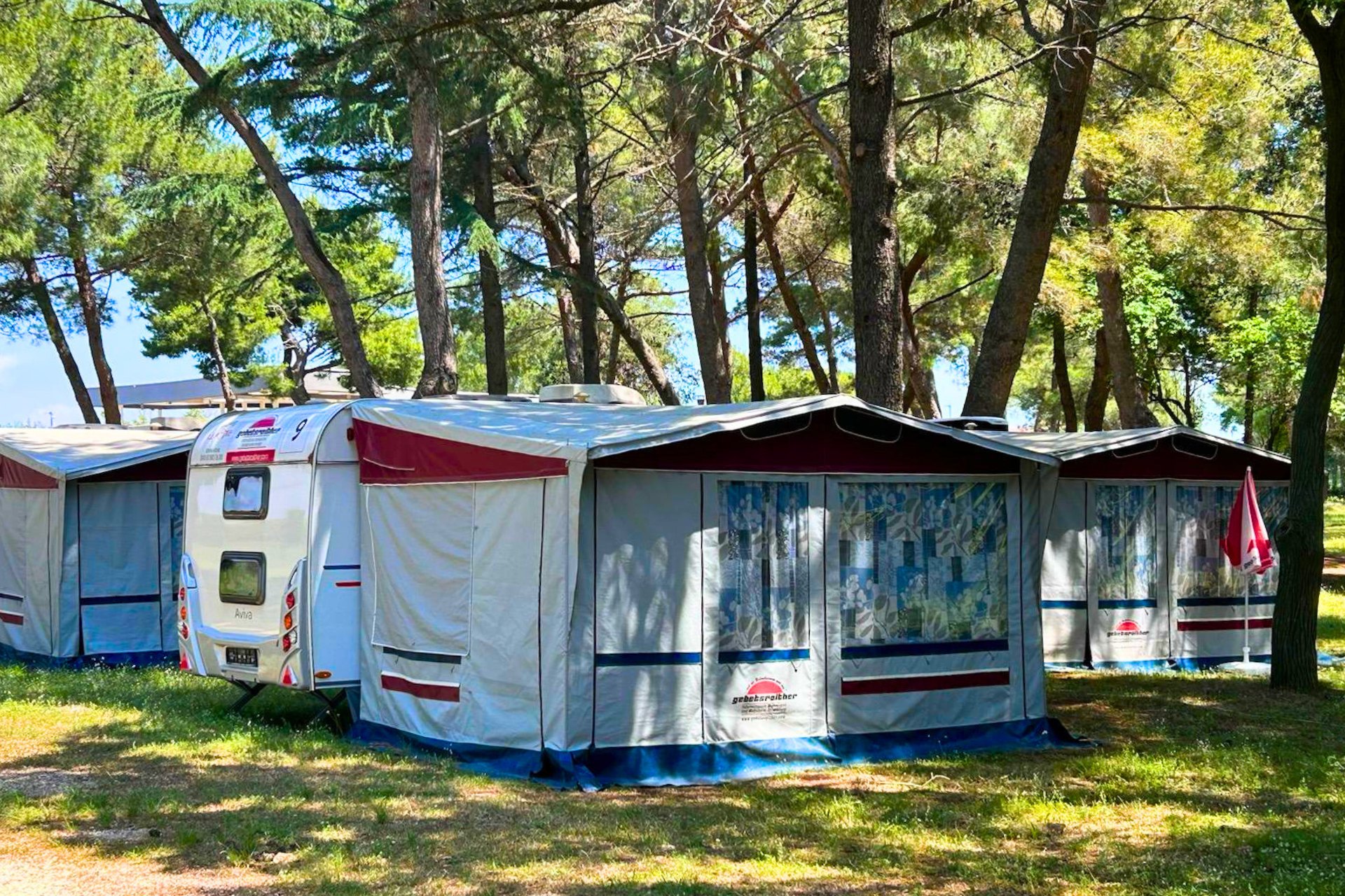 zelt t5 multivan BERGER Tonale Rear Bus Heckzelt VW T6 | Busvorzelt für Heckklappe mit Bodenplane & Gestänge | Camping Heckzelt Nicht freistehend entry way Set:5er-Set Mit diesem Zelt kreieren Rücktrittbremse am Fahrrad warten.