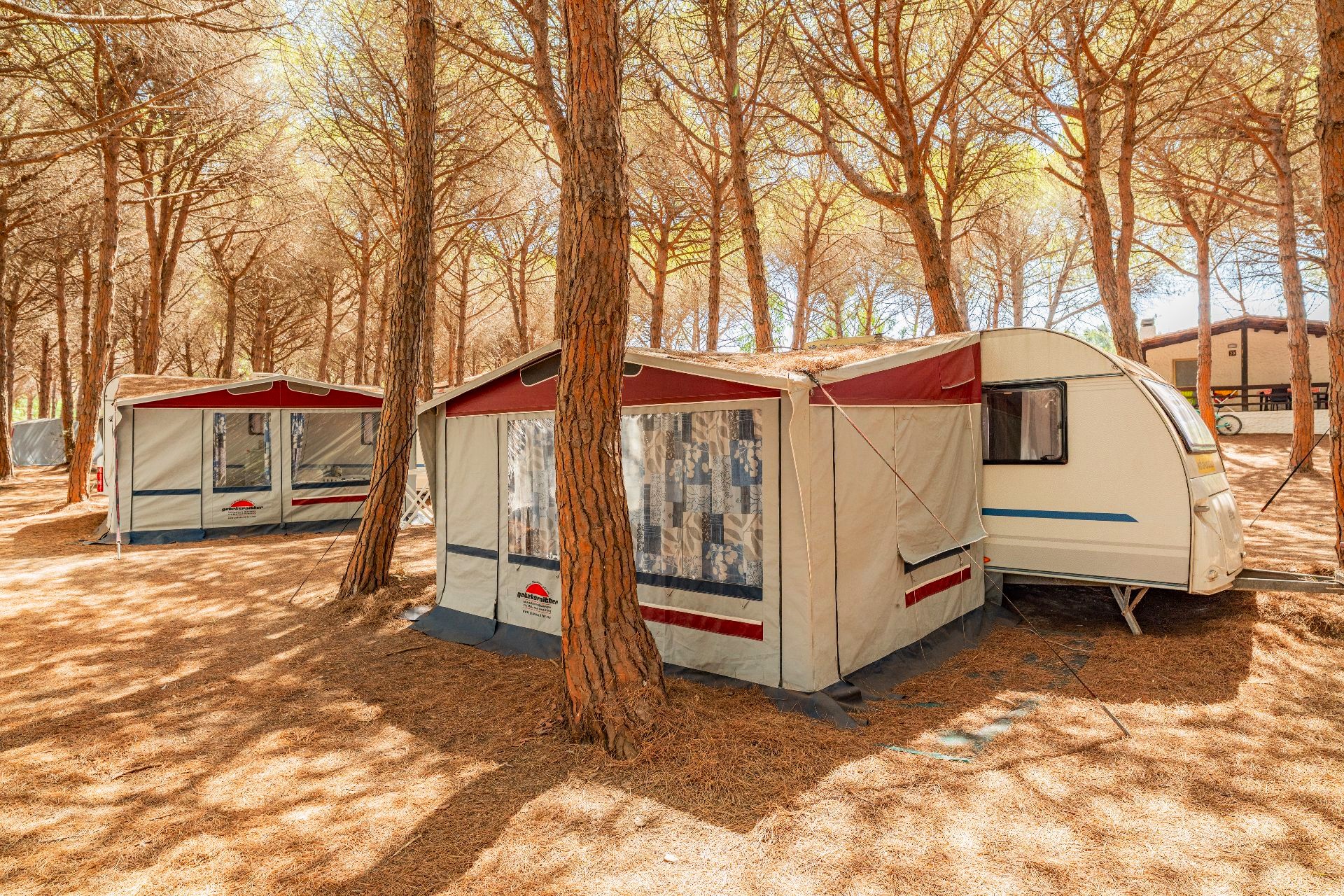 camping familie zelt Wetterfestes und extra leichtes Pop up Familienzelt fr 3 Personen