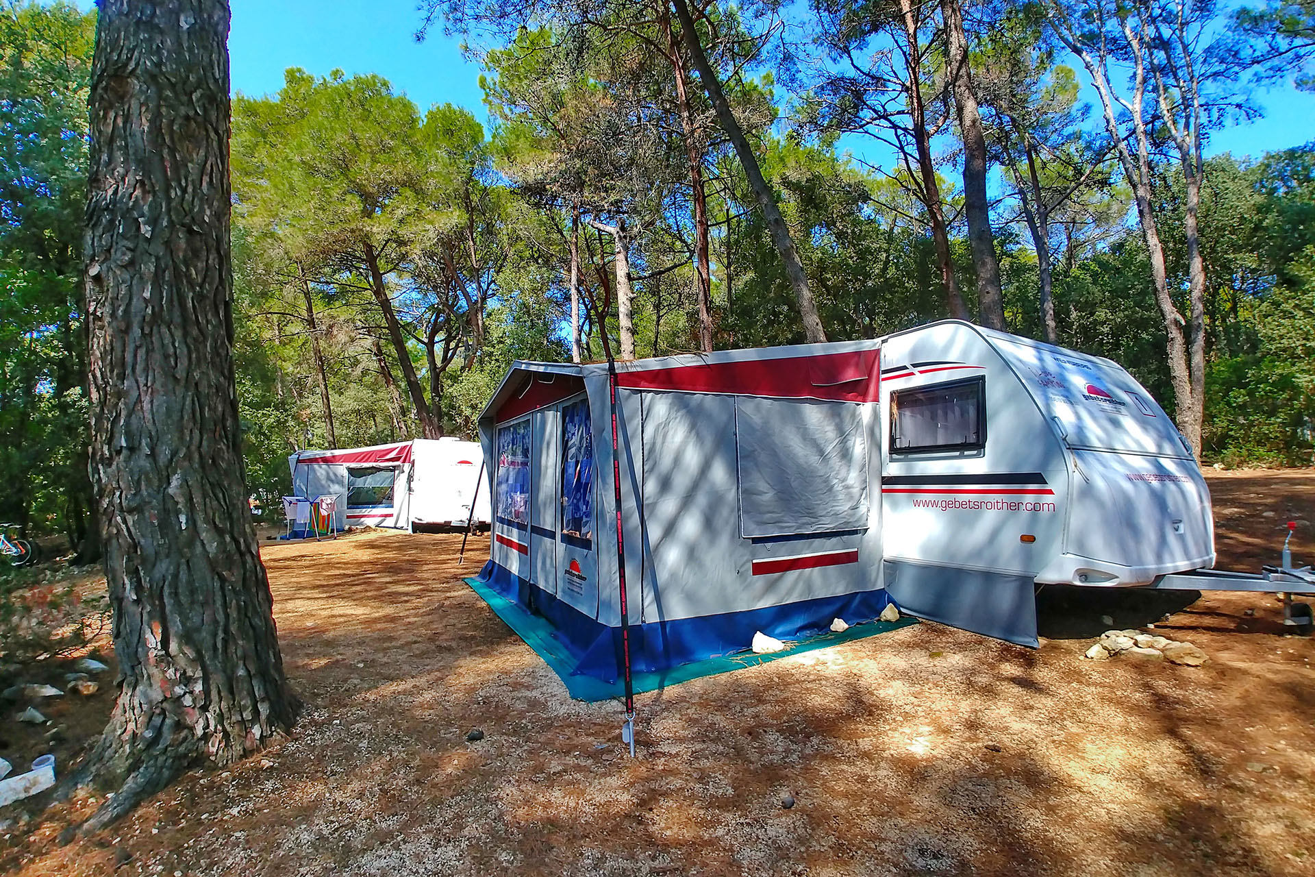 online shop camping How to Sell Camping Essentials Online